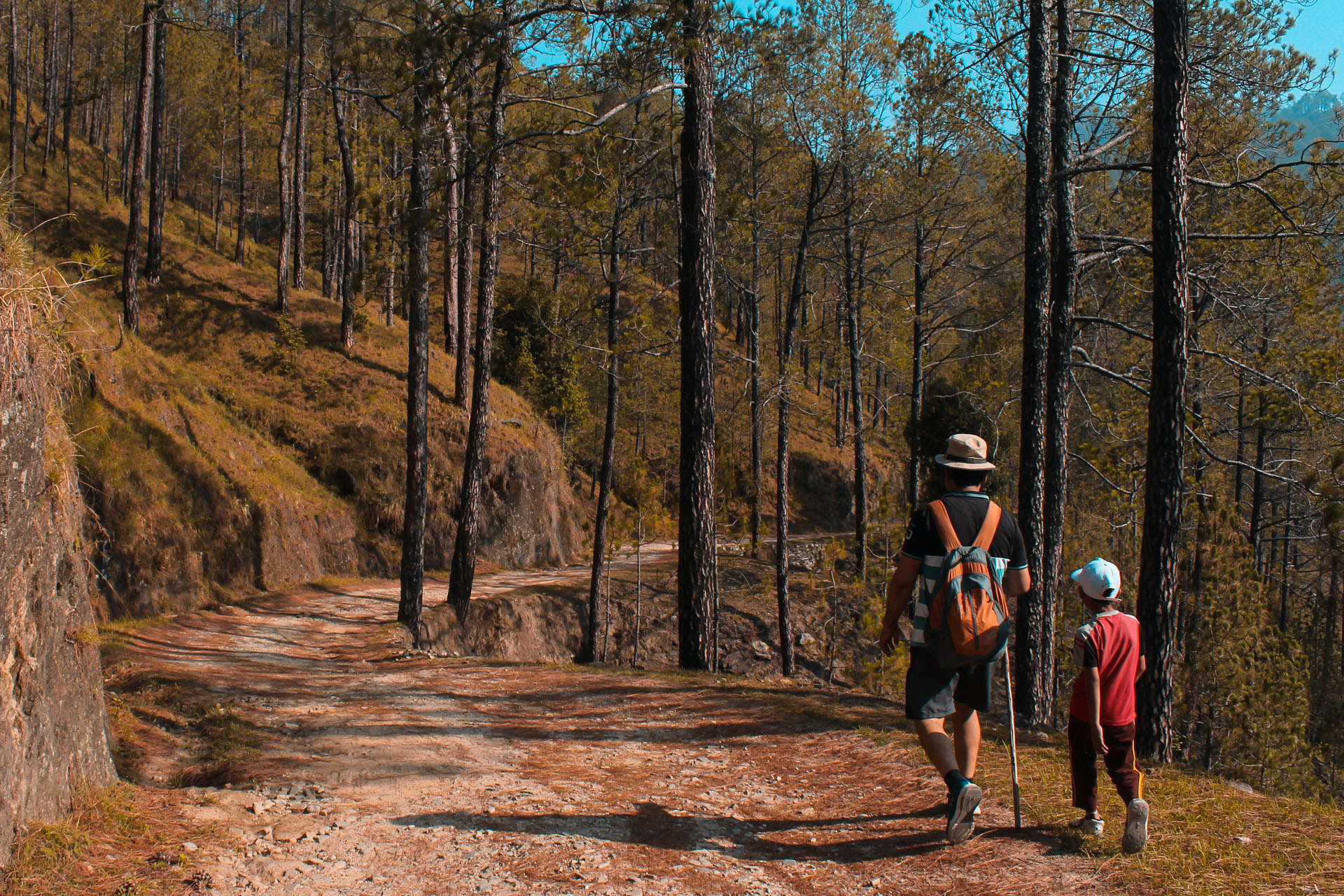 Top tips for hiking with kids